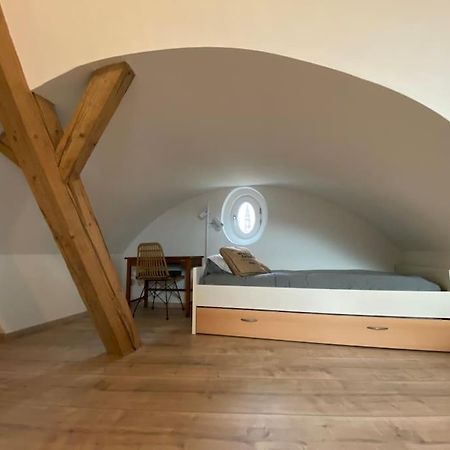 Appartement Les Toits D'Austerlitz à Strasbourg Extérieur photo